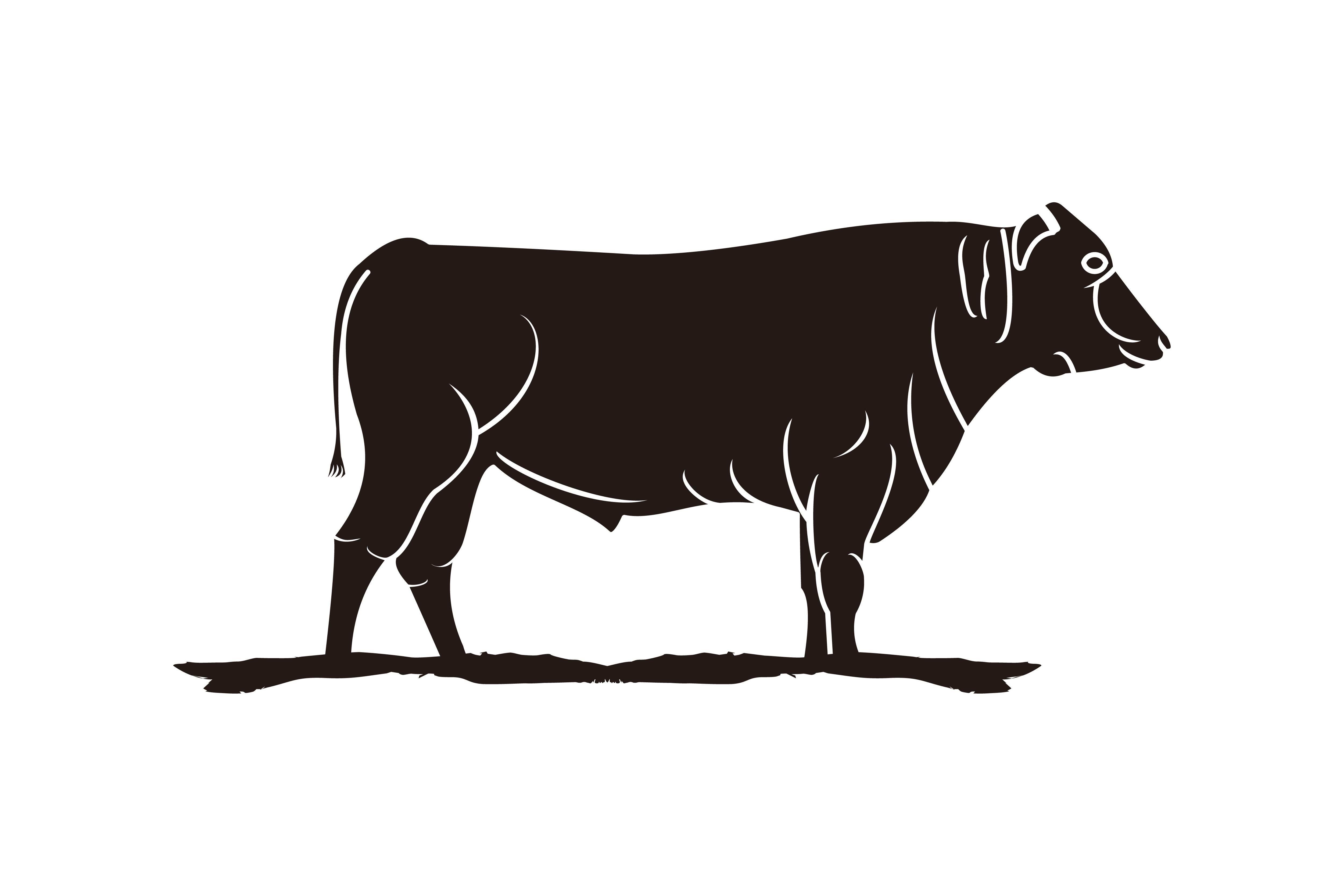 Beef Logo - Beef logo