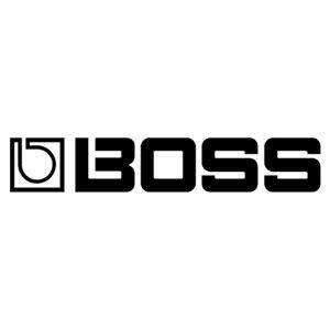 Boss Logo - Boss & Name