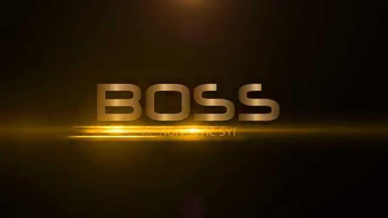 Boss Logo - BOSS Logo presentation