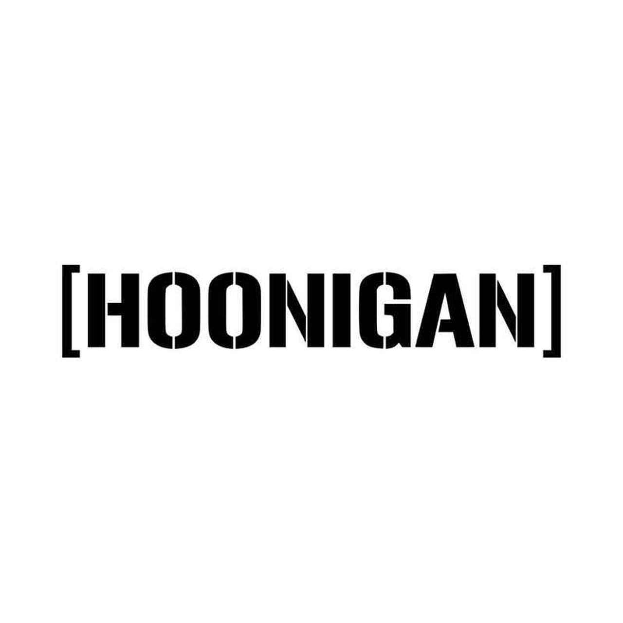 Hoonigan Logo - Hoonigan Logo Vinyl Decal Sticker