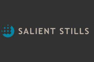 Salient Logo - salient logo