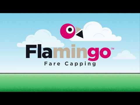 Gohart Logo - Frequently Asked Questions | Flamingo Fares™