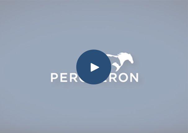 Percheron Logo - Percheron LLC