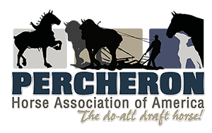 Percheron Logo - NEW Membership