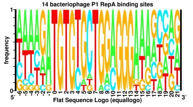 Sequence Logo - How to determine the height/bits in a sequence logo? - Biology Stack ...