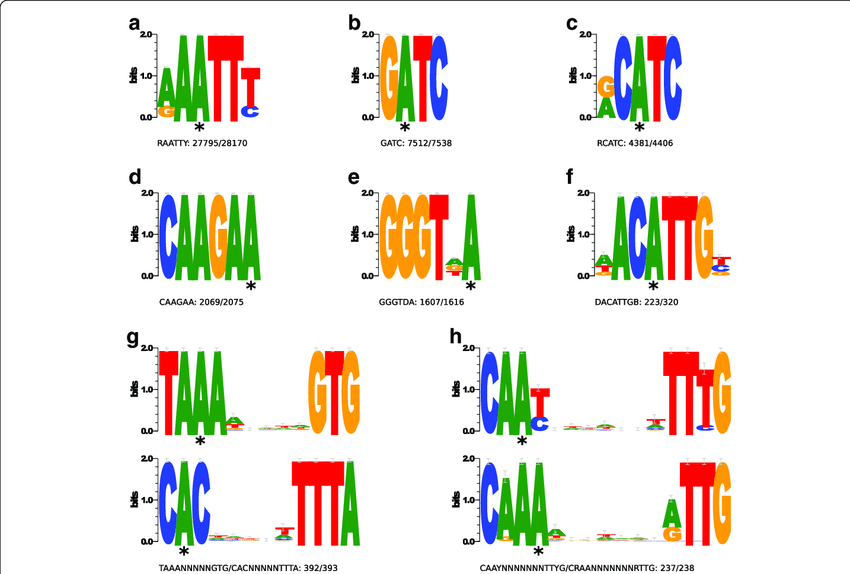 Sequence Logo - Sequence logos of eight methylation motifs. The consensus sequences