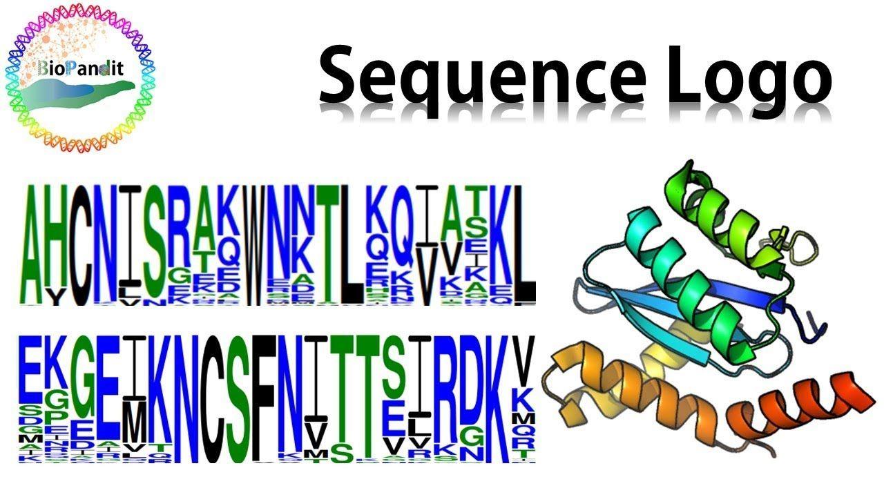 Sequence Logo - Sequence Logo