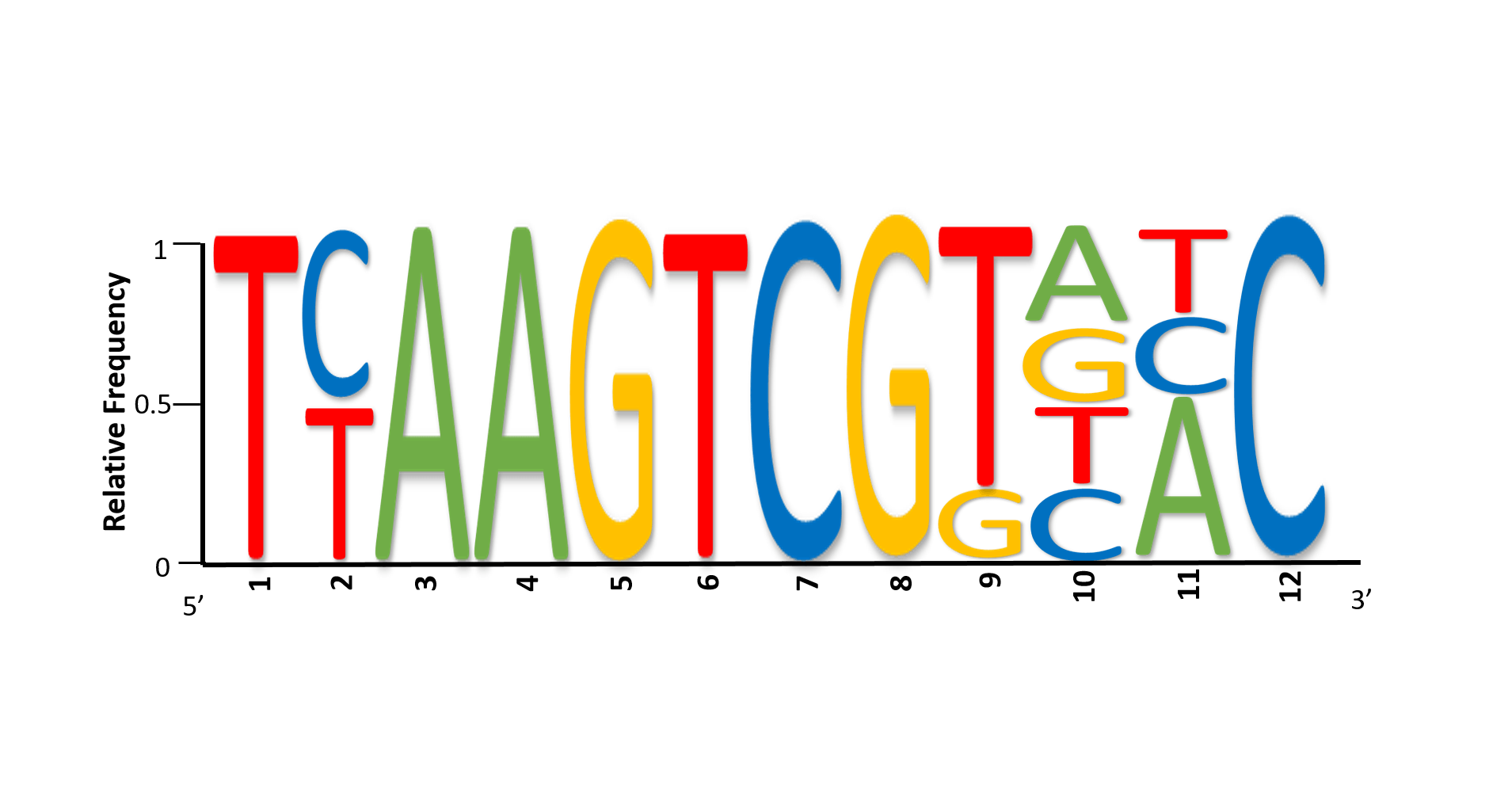 Sequence Logo - Genetics and Genomics Consensus Sequence from a