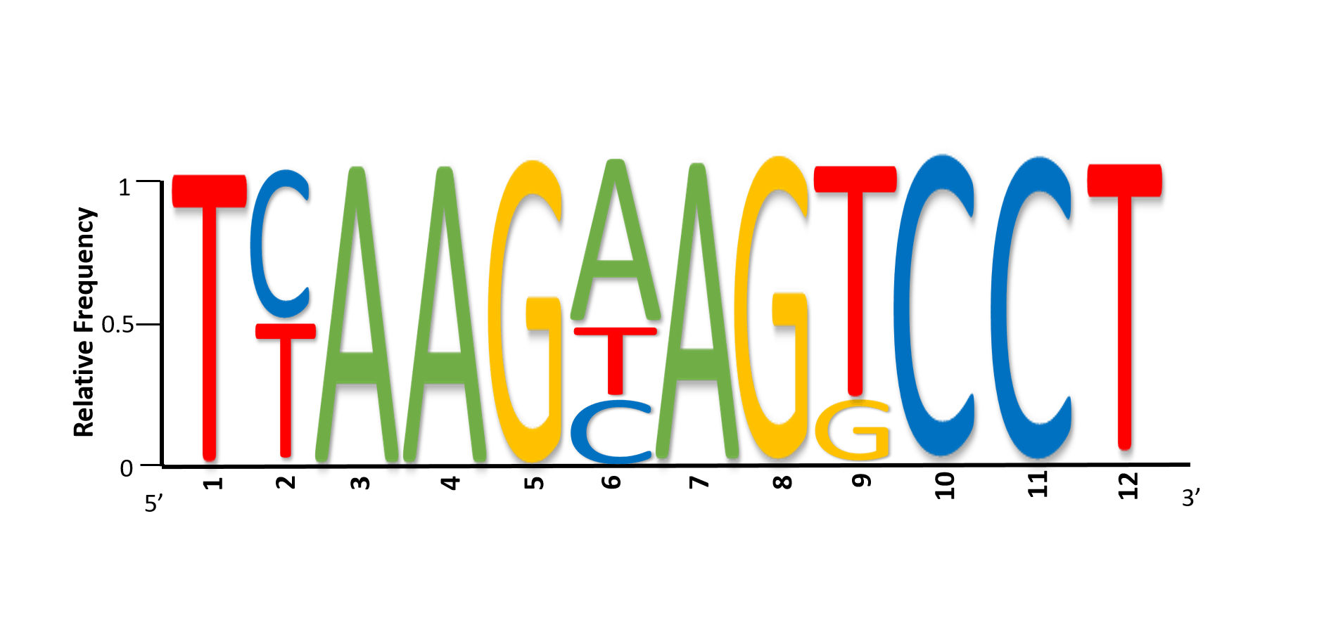 Sequence Logo - Genetics and Genomics Protein Sequence from a DNA