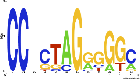 Sequence Logo - Vertebrate CTCF Consensus Shown is the sequence logo of a CTCF ...
