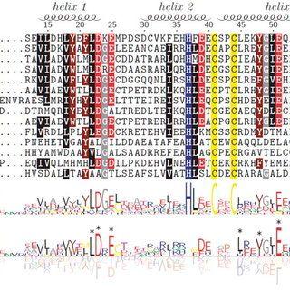 Sequence Logo - Multiple sequence alignment and sequence logo of ScoRsrA homologs
