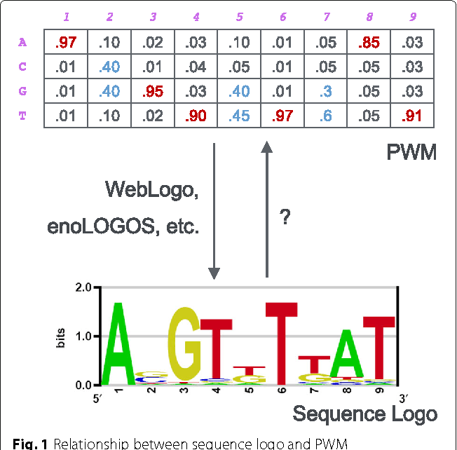 Sequence Logo - Figure 1 from Logo2PWM: a tool to convert sequence logo to position