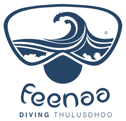 Diving Logo - Discover Maldives SCUBA Diving - Feenaa Diving Thulusdhoo