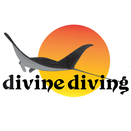 Diving Logo - Scuba Diving Komodo