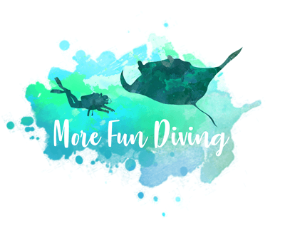 Diving Logo - More Fun Diving page for divers and everyone who loves the ocean