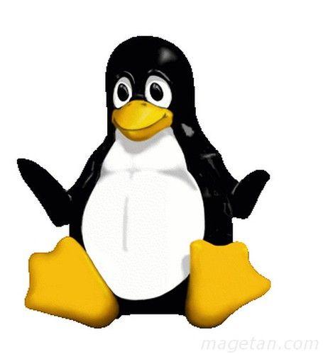 Pinguin Logo - linux logo pinguin. funny pinguin logo. as Linux operating