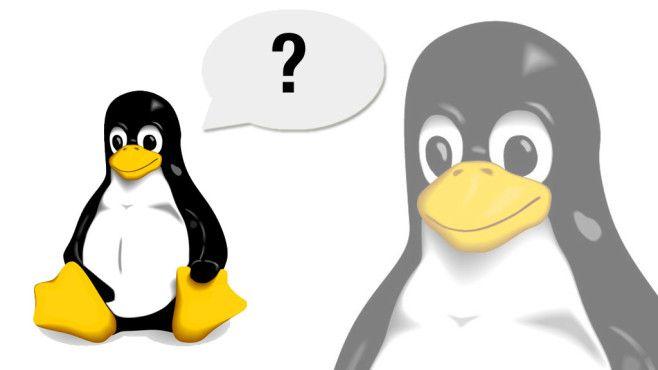 Pinguin Logo - Quiz: Erkennen Sie Tech Firmen Am Logo?