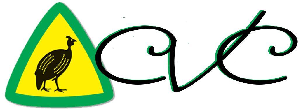 CVC Logo - Cvc Logo