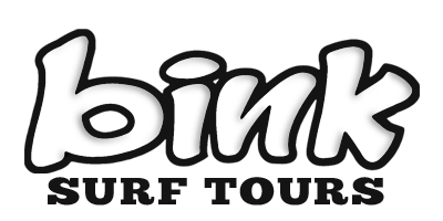 Bink Logo - Bink Surf Tours