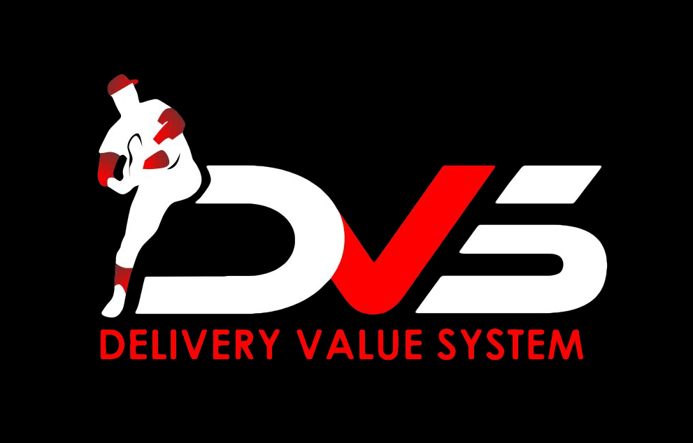 DVS Logo - DVS