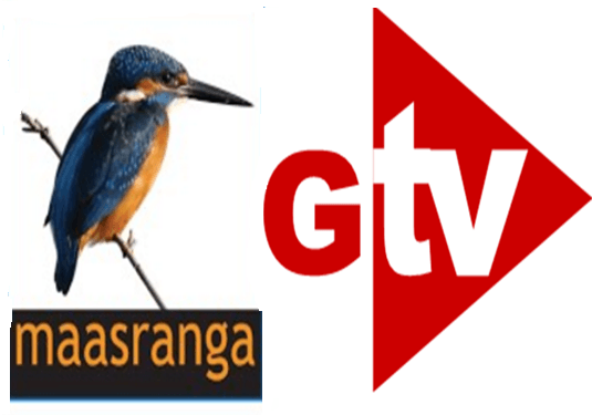 GTV Logo - GTV, Maasranga To Telecast BPL From 2017 19