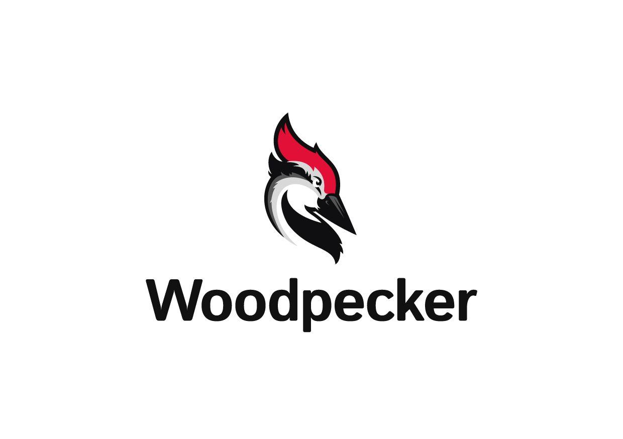Woodpecker Logo - How We Came Up with the Name & Logo for Woodpecker.co