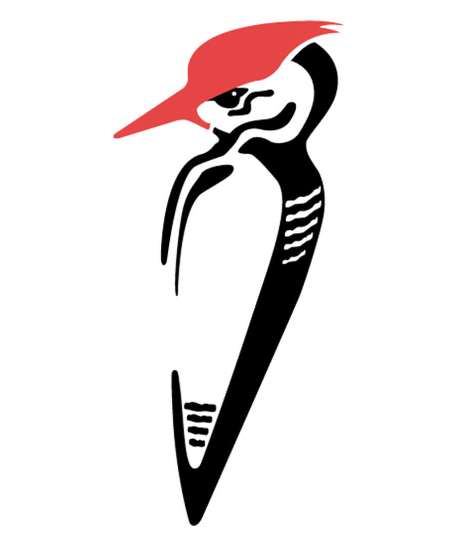 Woodpecker Logo - Haydn Symons Illustration - Woodpecker Logo Design