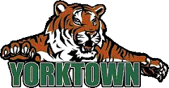 Yorktown Logo - The Yorktown Tigers - ScoreStream