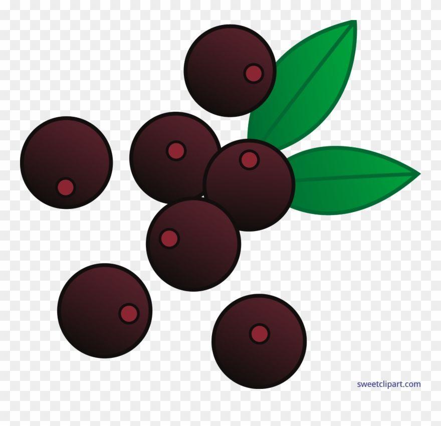 Superfruit Logo - Berry,Fruit,Plant,Circle,Leaf,Tree,Bilberry,Logo,Illustration,Cherry ...