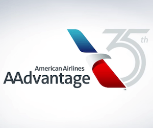 AAdvantage Logo - AAdvantage Business MileSAAver Award Space & Bad