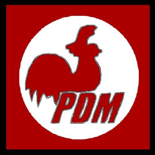 PDM Logo - PDM