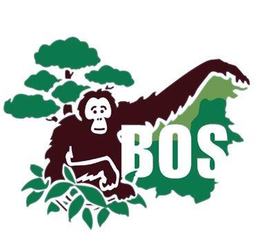 Orangatang Logo - Borneo Orangutan Survival Foundation. World Branding Awards