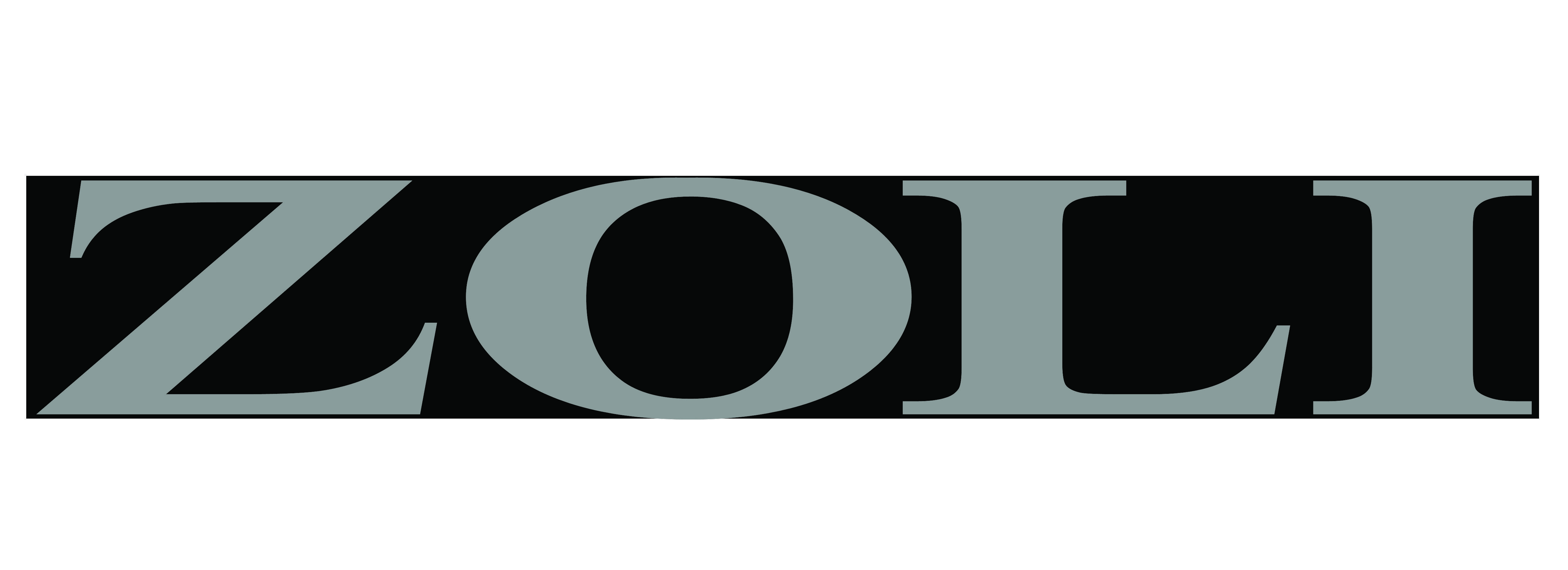 Zoli's Logo - Zoli barrel sticker black and silver