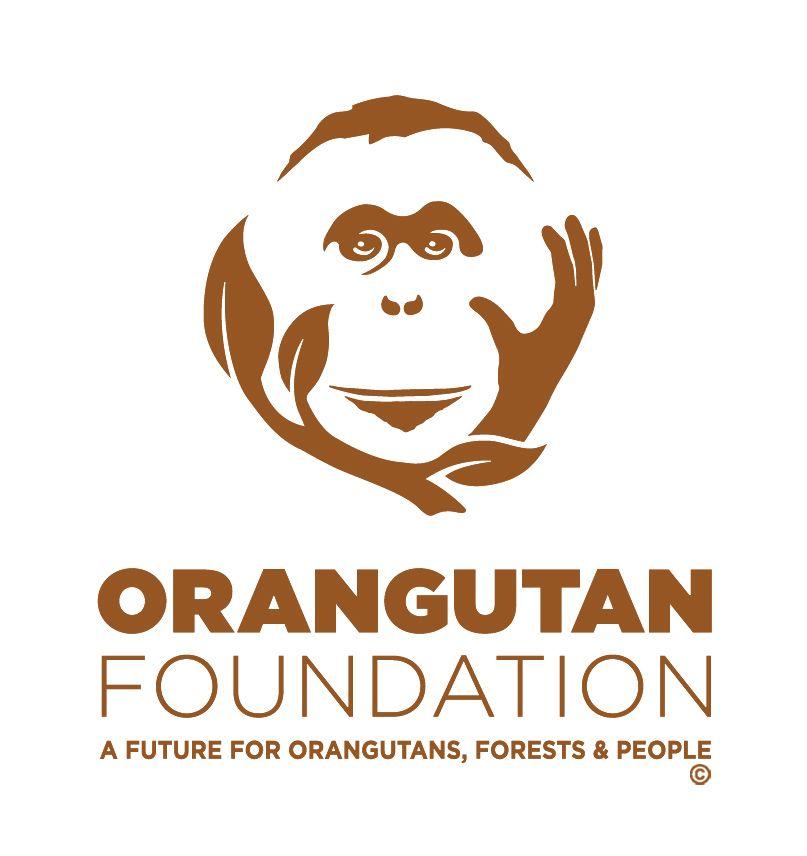 Orangatang Logo - Orangutan Foundation | The Big Give