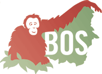 Orangatang Logo - Borneo Orangutan Survival