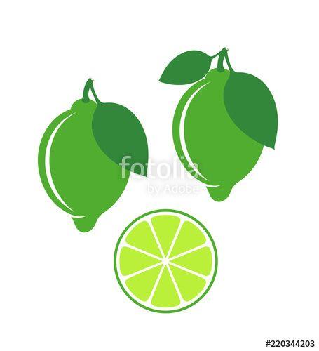Lime Logo - Lime logo. Isolated lime on white background Stock image