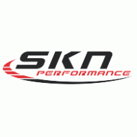 Performance Logo - SKN Performance Logo Vector (.AI) Free Download