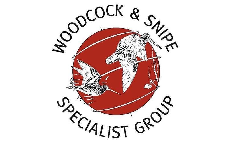 Woodcock Logo - Woodcock and Snipe | IUCN