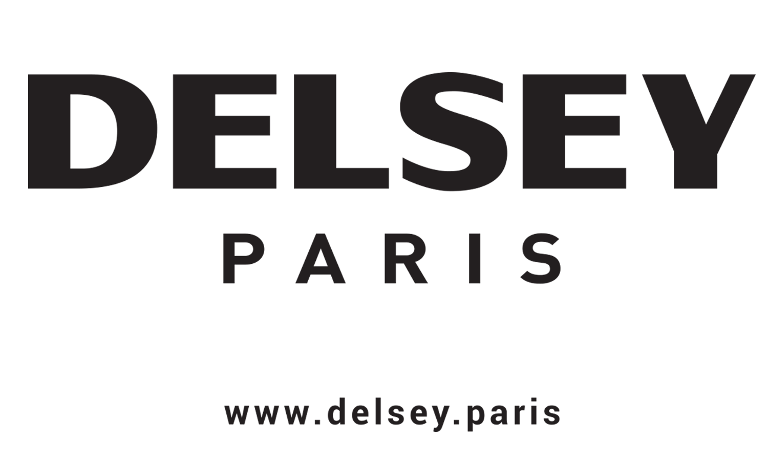 Delsey Logo - DELSEY