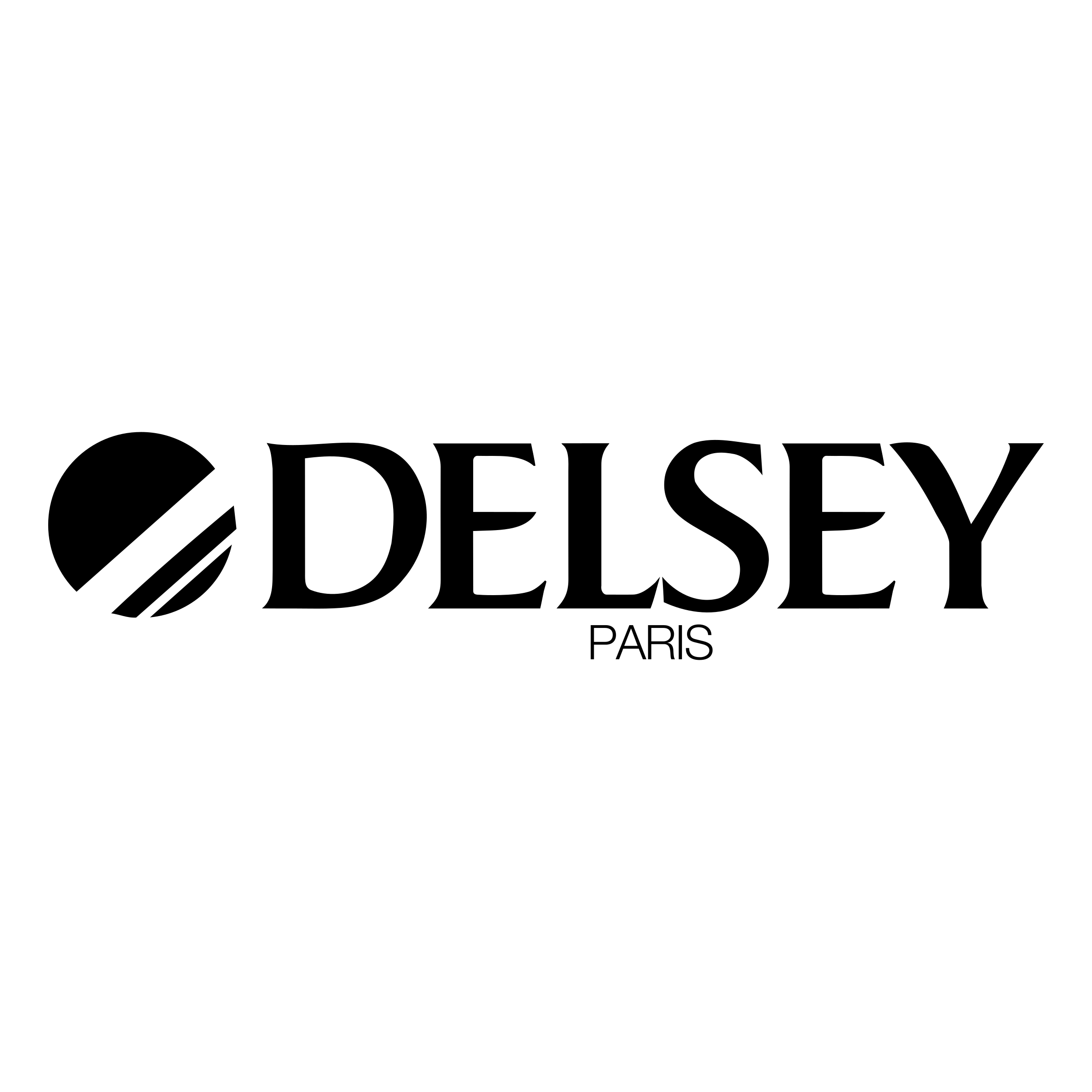 Delsey Logo LogoDix