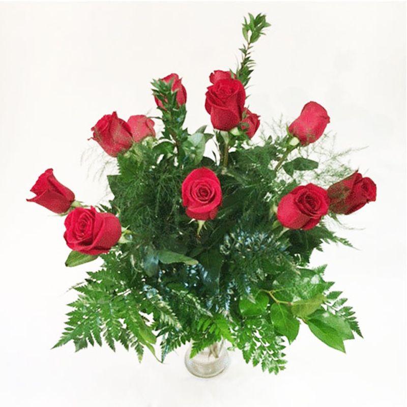 Flowers Red Green One Logo - VAL 01 One Dozen Long Stem Red Roses Raleigh, NC 27615 Florist