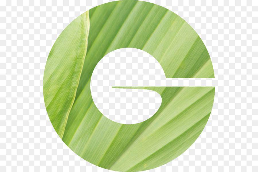 Givaudan Logo - Givaudan Leaf png download - 600*600 - Free Transparent Givaudan png ...