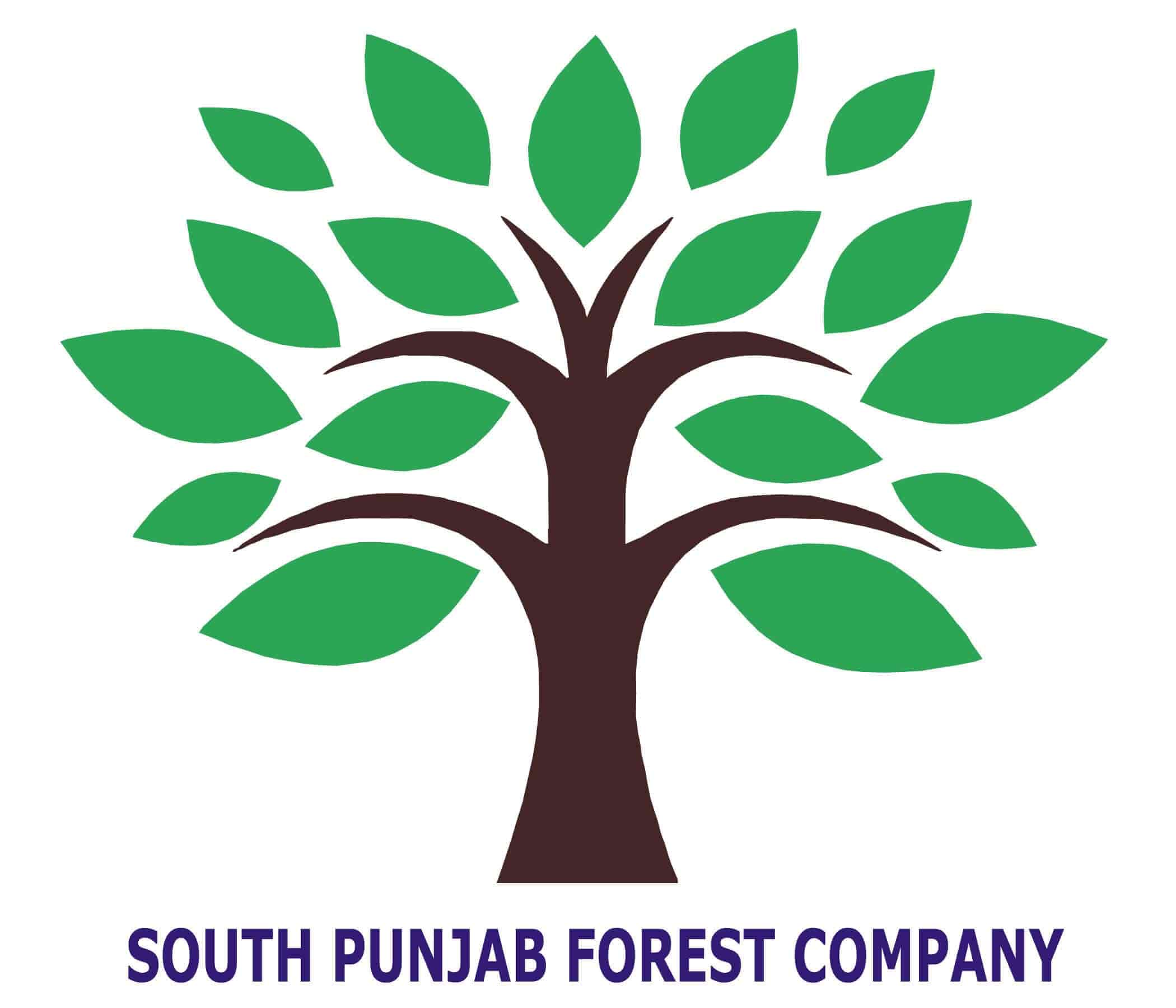 Forestry Logo - South Punjab Forest Company