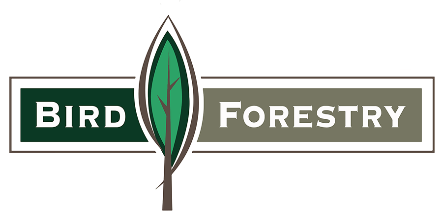 Forestry Logo - Home Page | Welcome to our Website | Bird Forestry