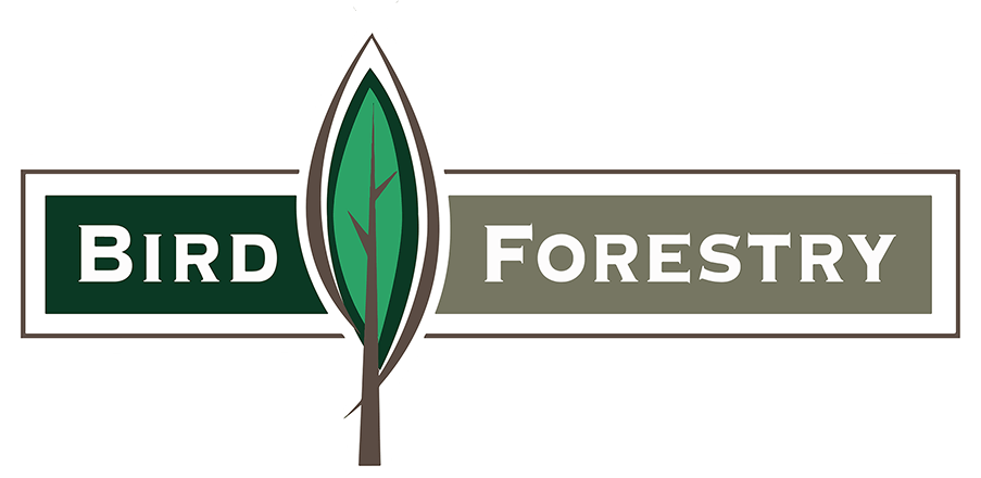 Forestry Logo - Home Page | Welcome to our Website | Bird Forestry