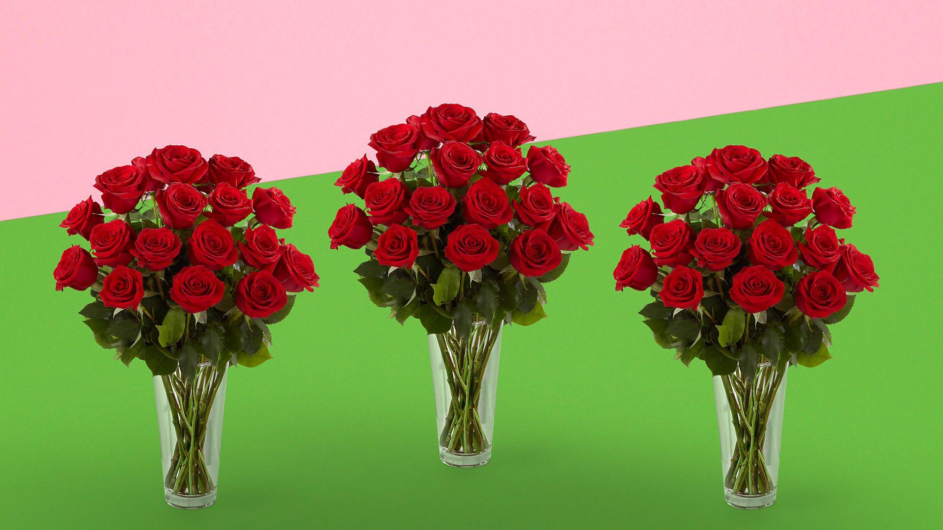 Flowers Red Green One Logo - Flowers | Online Flower Delivery | Send Flowers | ProFlowers