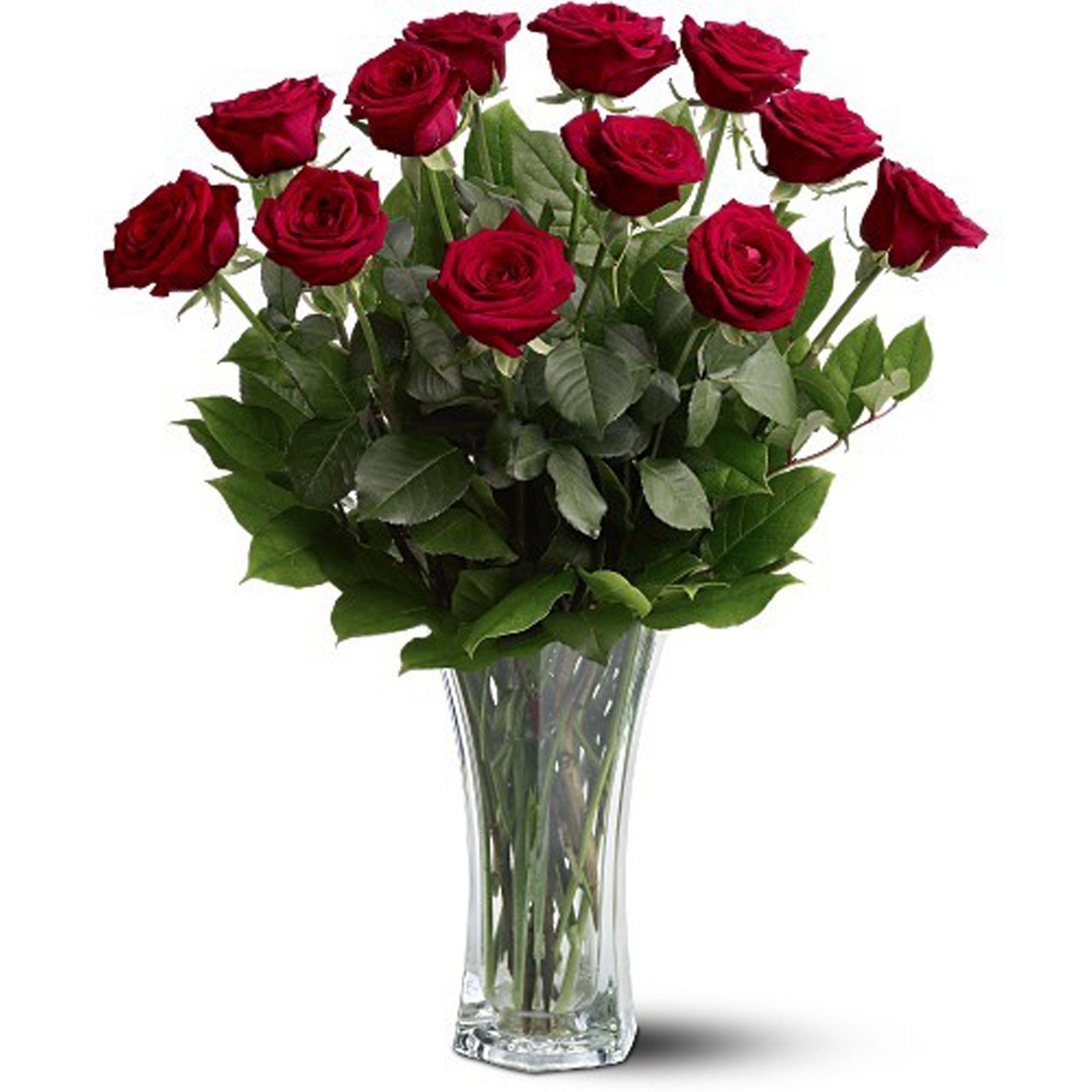 Flowers Red Green One Logo - A Dozen Premium Red Roses in North Easton, MA. Green Akers Florist