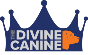 Canine Logo - The Divine Canine | Dog Boarding and Dog Daycare in Louisville CO