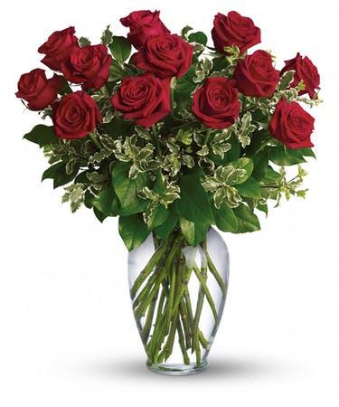 Flowers Red Green One Logo - One Dozen Luxury Red Roses Milwaukee (WI) Delivery Milwaukee