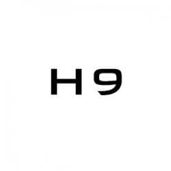 H9 Logo - H9